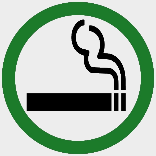 smoking private jet smoke accommodations permitted jets