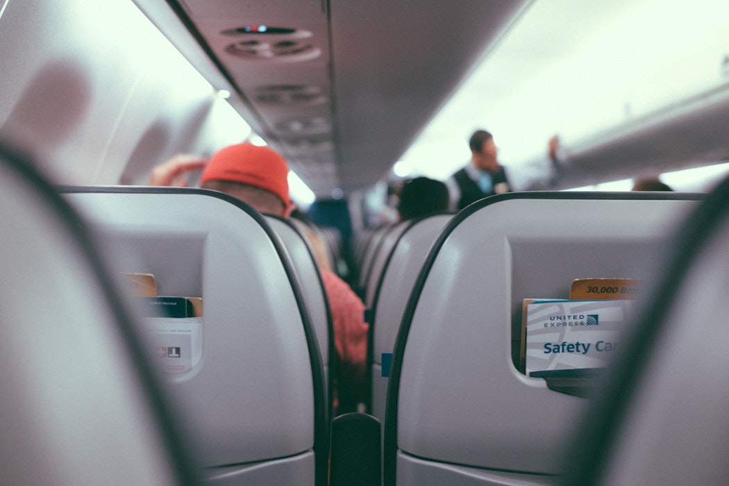 dogs on commercial flights